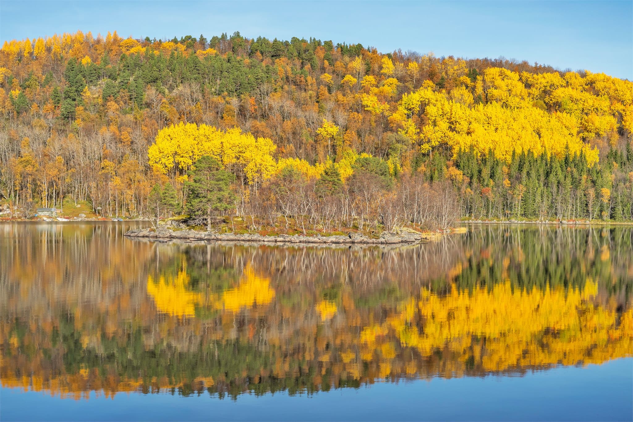 Holme i Kilvatnet med bjørkeskog og høstfarger.