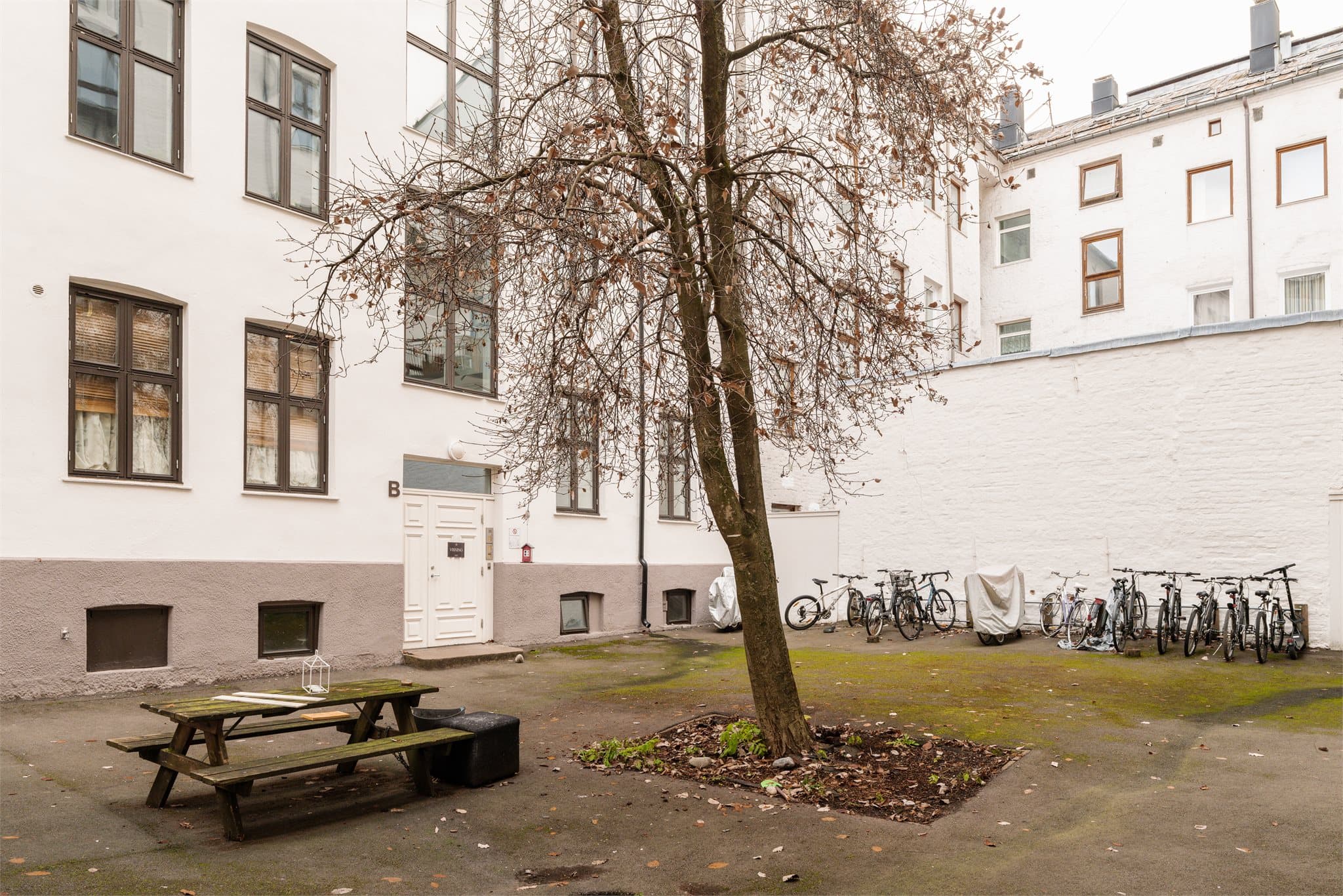 Skjermet bakgård med sittegrupper og sykkelparkering.