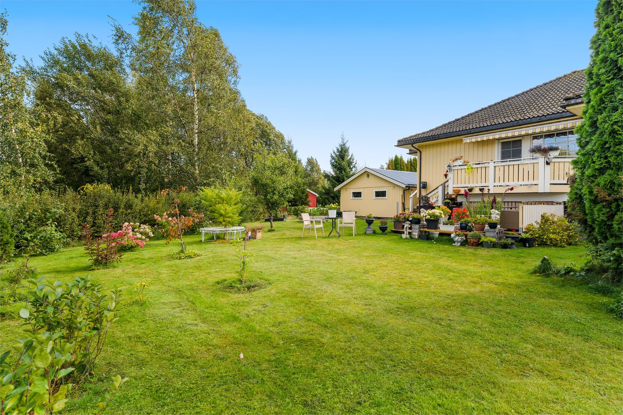 Rikelig med boltreplass for både to- og firbente.