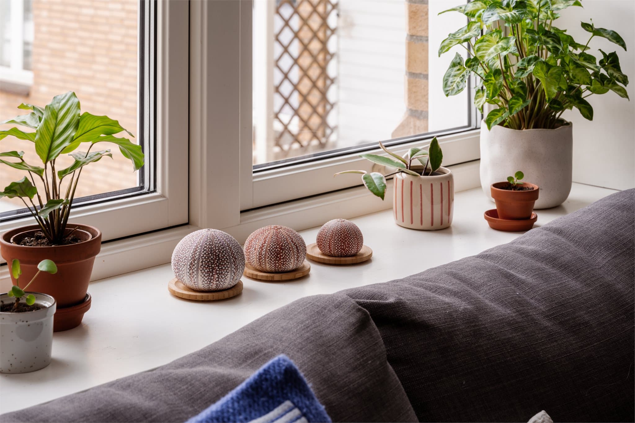 Brede vinduskarmer gir ekstra plass til planter og pyntegjenstander.