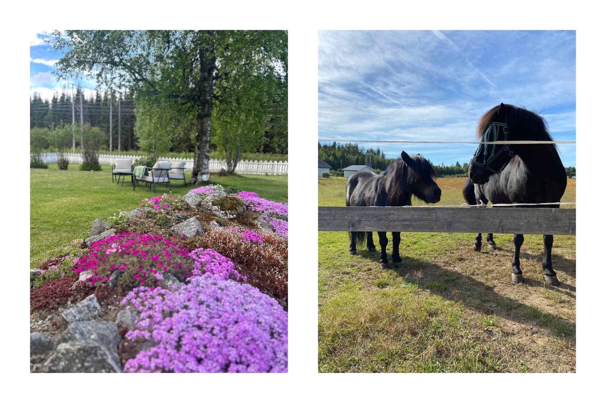 Sætrevegen 46 er en nydelig småbrukseiendom godt egnet for hestehold. Selgers private bilder.